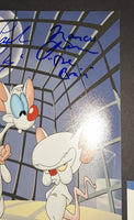 Rob Paulsen and Maurice LaMarche autographed 8x10 Beckett COA