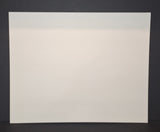 Chuck Norris autographed and matted 11x14 Beckett Witness COA