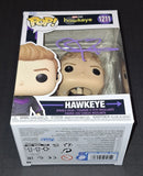 Jeremy Renner  autographed Funko Marvel Hawkeye JSA COA