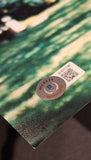 Sissy Spacek Autographed Signed 11x14 Carrie Beckett COA