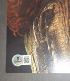 Bryce Dallas Howard Signed Autographed 8x10 Twilight Eclipse Beckett COA