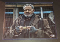 Laurence Fishburne autographed 11x14 Beckett COA